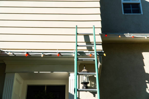 Best Shed Removal  in Miami, FL